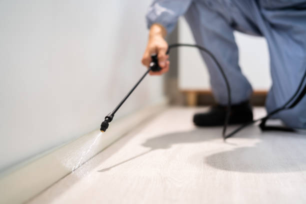 Professional exterminator conducting IPM assessment in Christmas